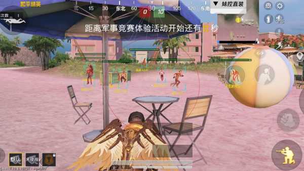和平精英外挂【豌豆直装V1.0】漏打自瞄 喷子自喵 狙击枪自喵 全枪无死角漏打 追踪扫车打鸟